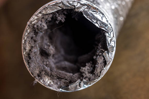 Best Emergency Air Duct Cleaning  in Selma, TX